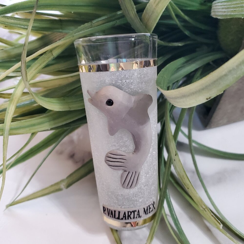 Puerto Vallarta Mexico Dolphin Shot Glass
